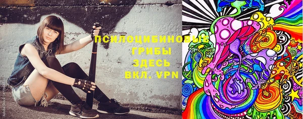 индика Наволоки
