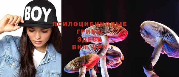 индика Наволоки
