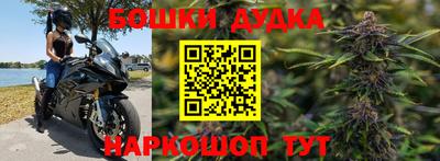 гидра Краснокаменск