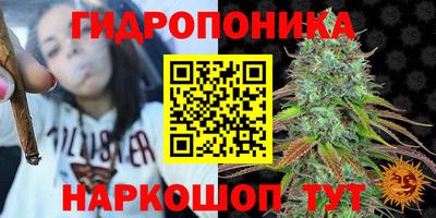 ПСИЛОЦИБИНОВЫЕ ГРИБЫ Краснознаменск