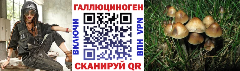 даркнет формула  Саров  Псилоцибиновые грибы GOLDEN TEACHER  как найти закладки 