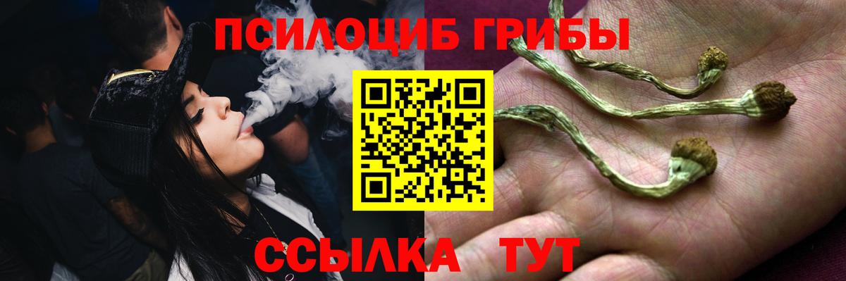 Псилоцибиновые грибы Magic Shrooms Саров