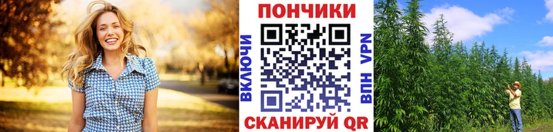 Бошки Шишки MAZAR Саров